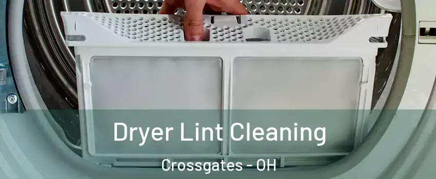 Dryer Lint Cleaning Crossgates - OH