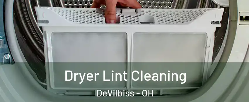 Dryer Lint Cleaning DeVilbiss - OH