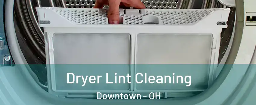Dryer Lint Cleaning Downtown - OH