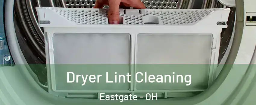 Dryer Lint Cleaning Eastgate - OH
