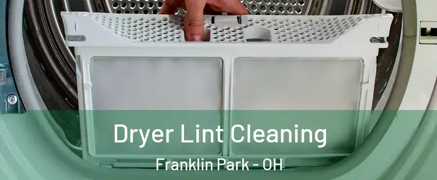 Dryer Lint Cleaning Franklin Park - OH