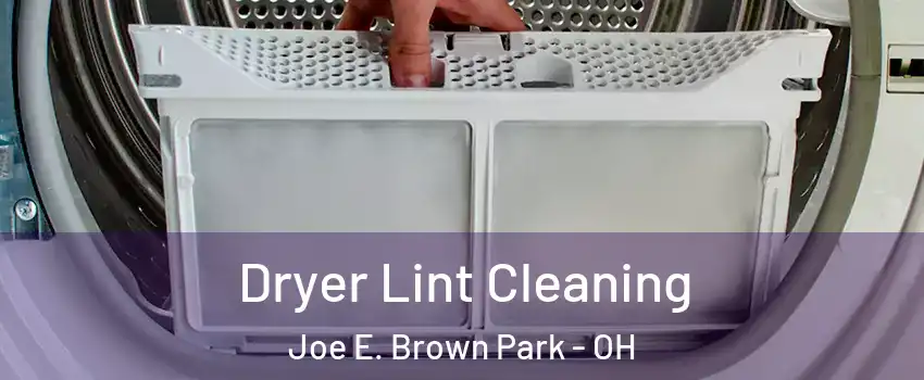 Dryer Lint Cleaning Joe E. Brown Park - OH