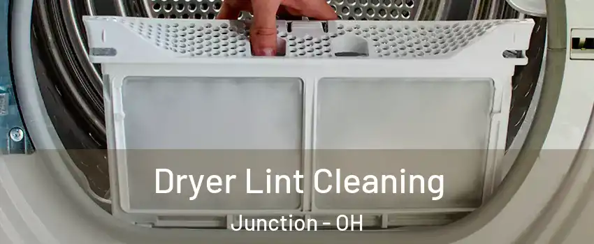 Dryer Lint Cleaning Junction - OH
