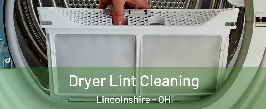 Dryer Lint Cleaning Lincolnshire - OH