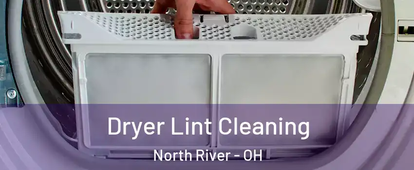 Dryer Lint Cleaning North River - OH
