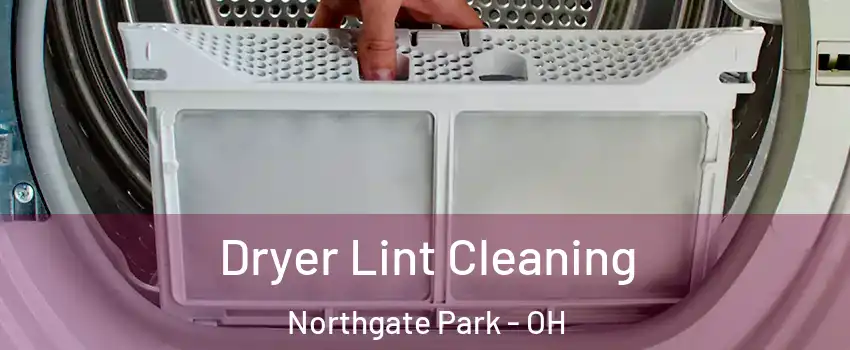Dryer Lint Cleaning Northgate Park - OH