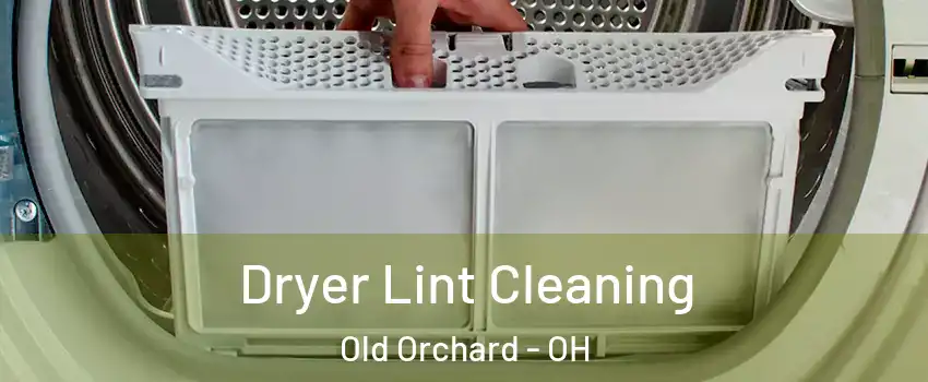 Dryer Lint Cleaning Old Orchard - OH