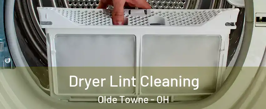 Dryer Lint Cleaning Olde Towne - OH