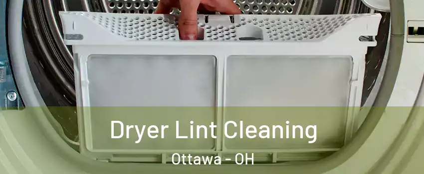 Dryer Lint Cleaning Ottawa - OH