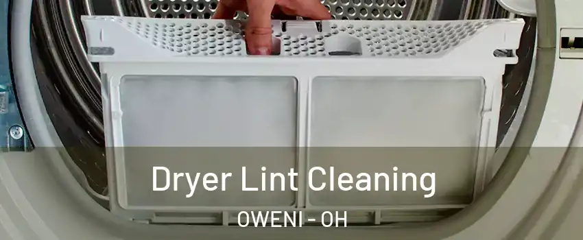 Dryer Lint Cleaning OWENI - OH