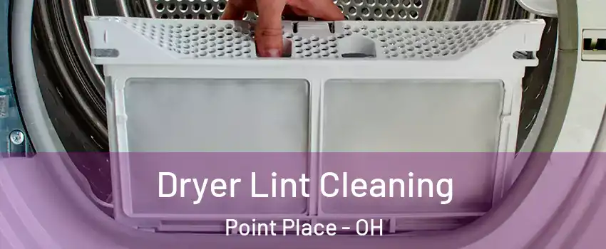 Dryer Lint Cleaning Point Place - OH