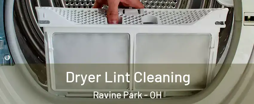 Dryer Lint Cleaning Ravine Park - OH