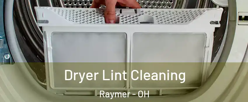 Dryer Lint Cleaning Raymer - OH
