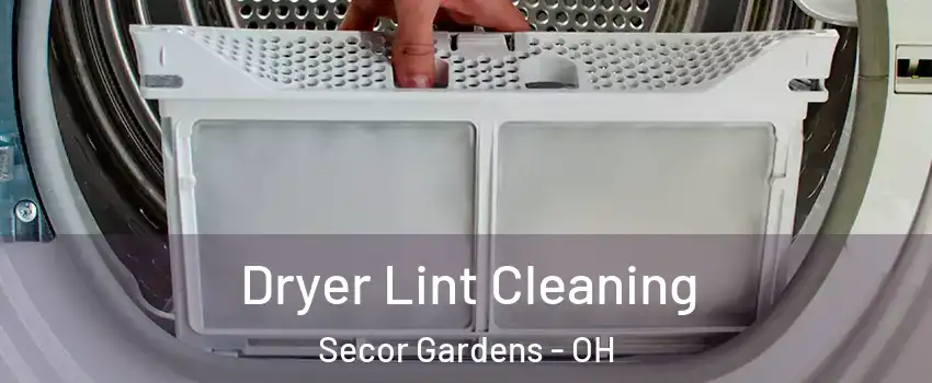Dryer Lint Cleaning Secor Gardens - OH