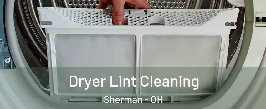 Dryer Lint Cleaning Sherman - OH