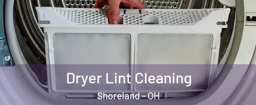 Dryer Lint Cleaning Shoreland - OH
