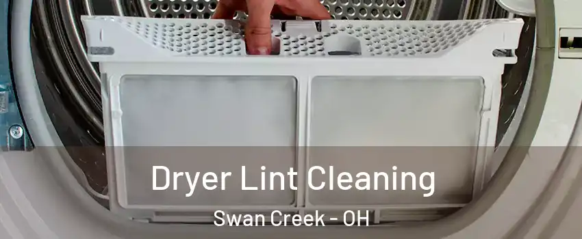Dryer Lint Cleaning Swan Creek - OH