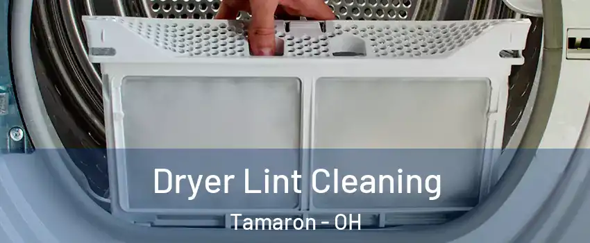 Dryer Lint Cleaning Tamaron - OH