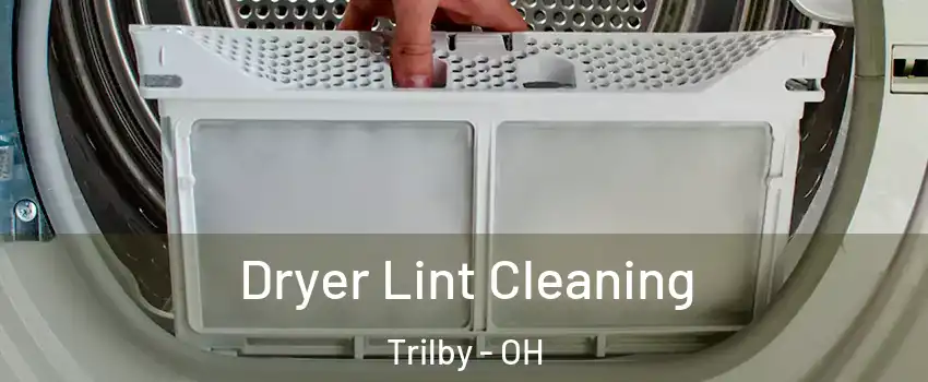 Dryer Lint Cleaning Trilby - OH