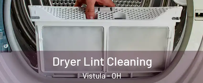 Dryer Lint Cleaning Vistula - OH
