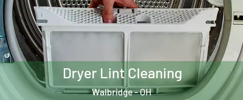 Dryer Lint Cleaning Walbridge - OH