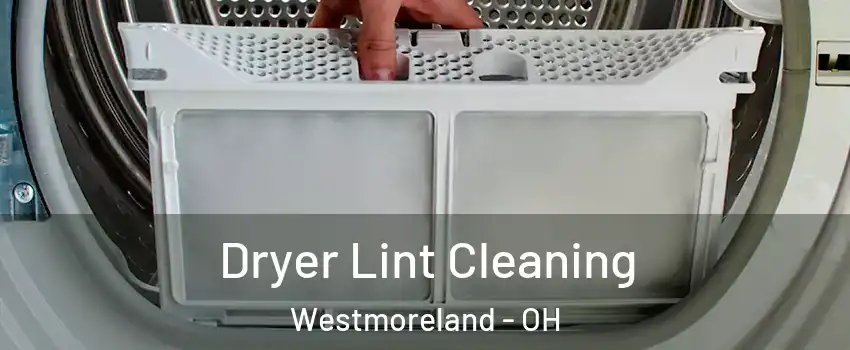 Dryer Lint Cleaning Westmoreland - OH