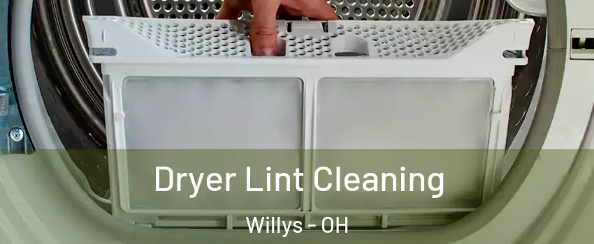 Dryer Lint Cleaning Willys - OH