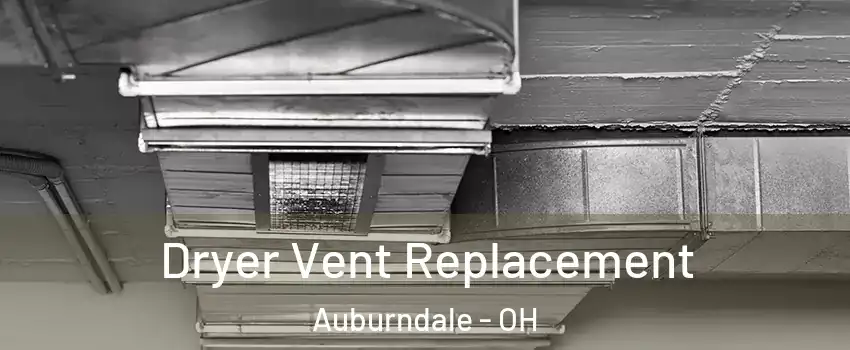 Dryer Vent Replacement Auburndale - OH