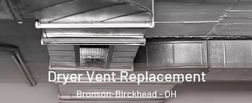 Dryer Vent Replacement Bronson-Birckhead - OH
