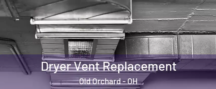 Dryer Vent Replacement Old Orchard - OH