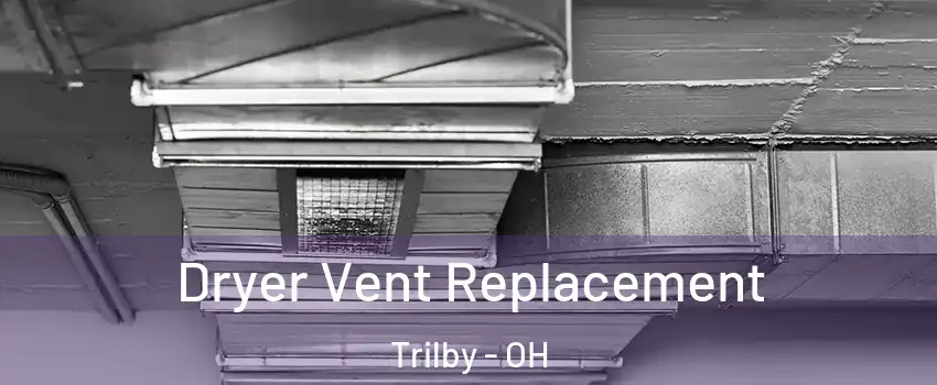 Dryer Vent Replacement Trilby - OH
