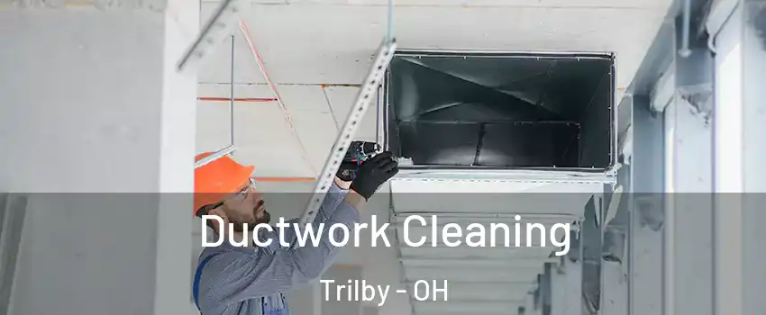 Ductwork Cleaning Trilby - OH