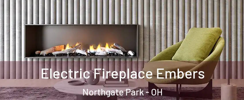 Electric Fireplace Embers Northgate Park - OH