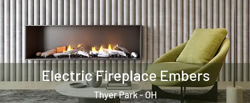 Electric Fireplace Embers Thyer Park - OH