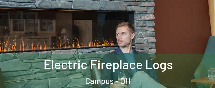 Electric Fireplace Logs Campus - OH