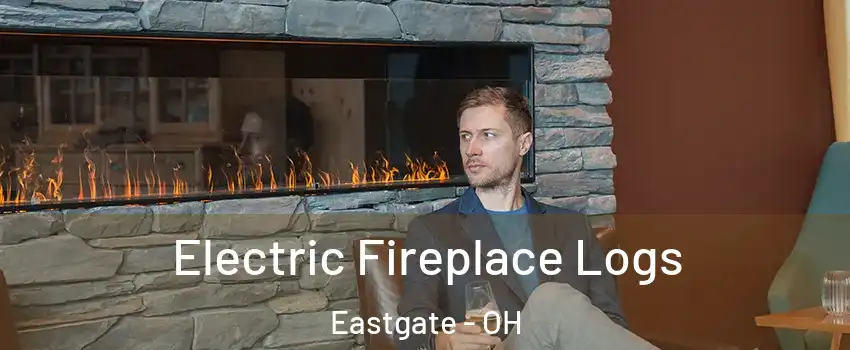 Electric Fireplace Logs Eastgate - OH