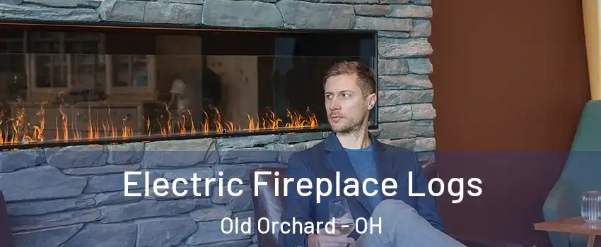 Electric Fireplace Logs Old Orchard - OH