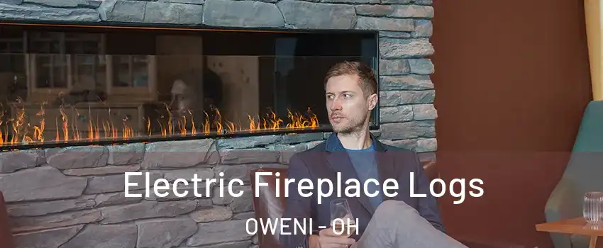 Electric Fireplace Logs OWENI - OH