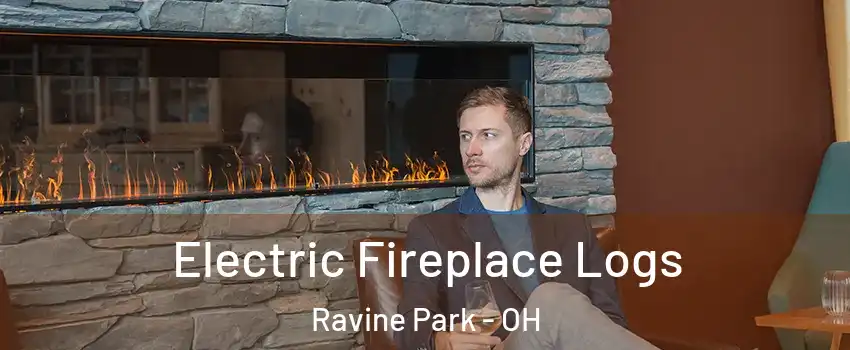 Electric Fireplace Logs Ravine Park - OH