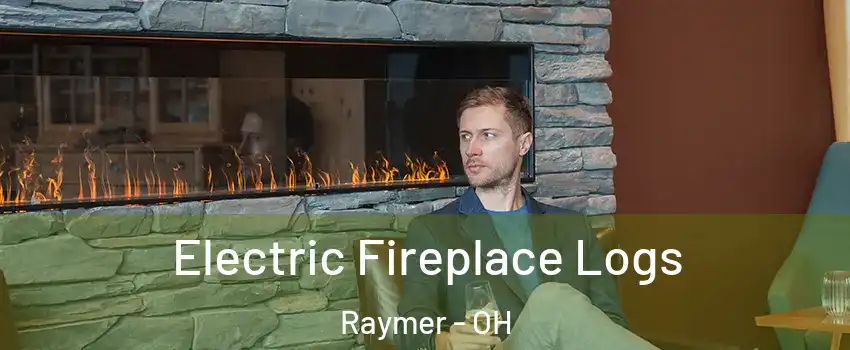 Electric Fireplace Logs Raymer - OH
