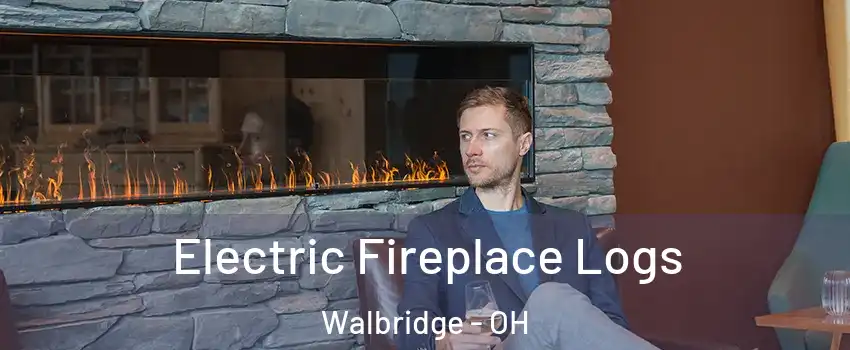 Electric Fireplace Logs Walbridge - OH