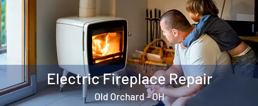 Electric Fireplace Repair Old Orchard - OH