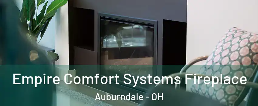 Empire Comfort Systems Fireplace Auburndale - OH
