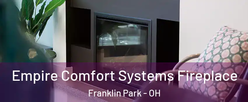 Empire Comfort Systems Fireplace Franklin Park - OH