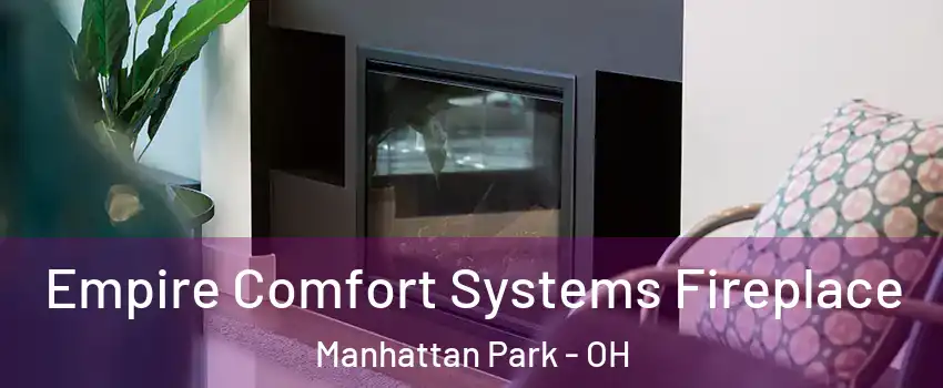 Empire Comfort Systems Fireplace Manhattan Park - OH