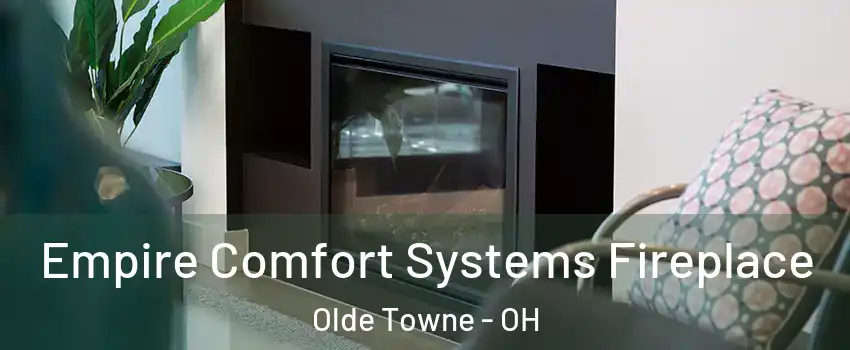 Empire Comfort Systems Fireplace Olde Towne - OH