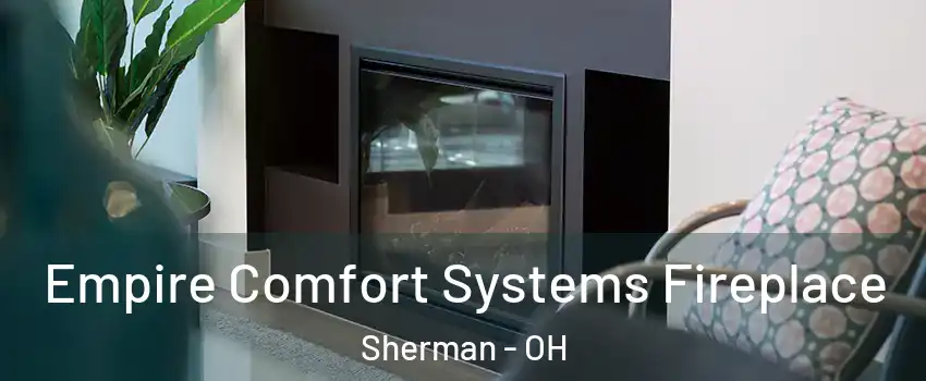 Empire Comfort Systems Fireplace Sherman - OH