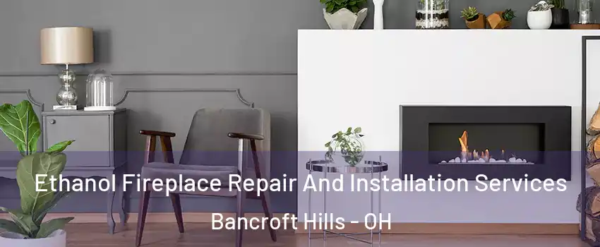Ethanol Fireplace Repair And Installation Services Bancroft Hills - OH