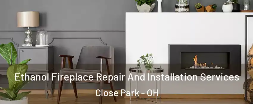 Ethanol Fireplace Repair And Installation Services Close Park - OH