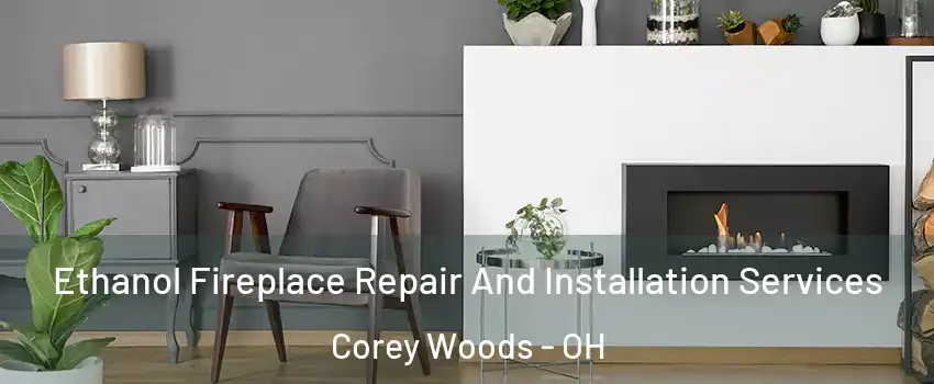 Ethanol Fireplace Repair And Installation Services Corey Woods - OH